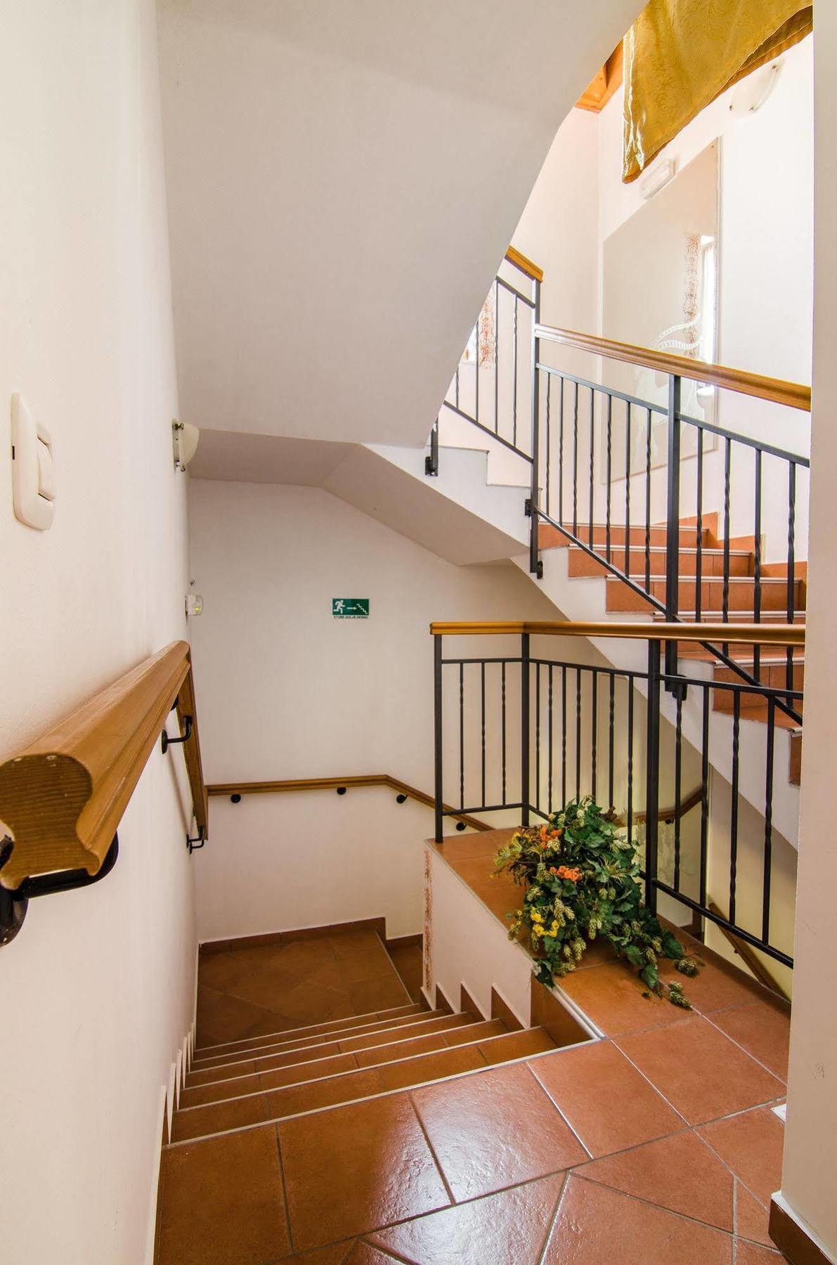 Villa Calussovo Ripenda Kras Экстерьер фото